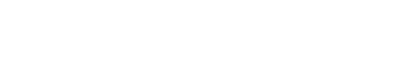 Handi